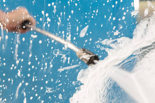 Animal Enclosure Cleaning in Hampton, TN